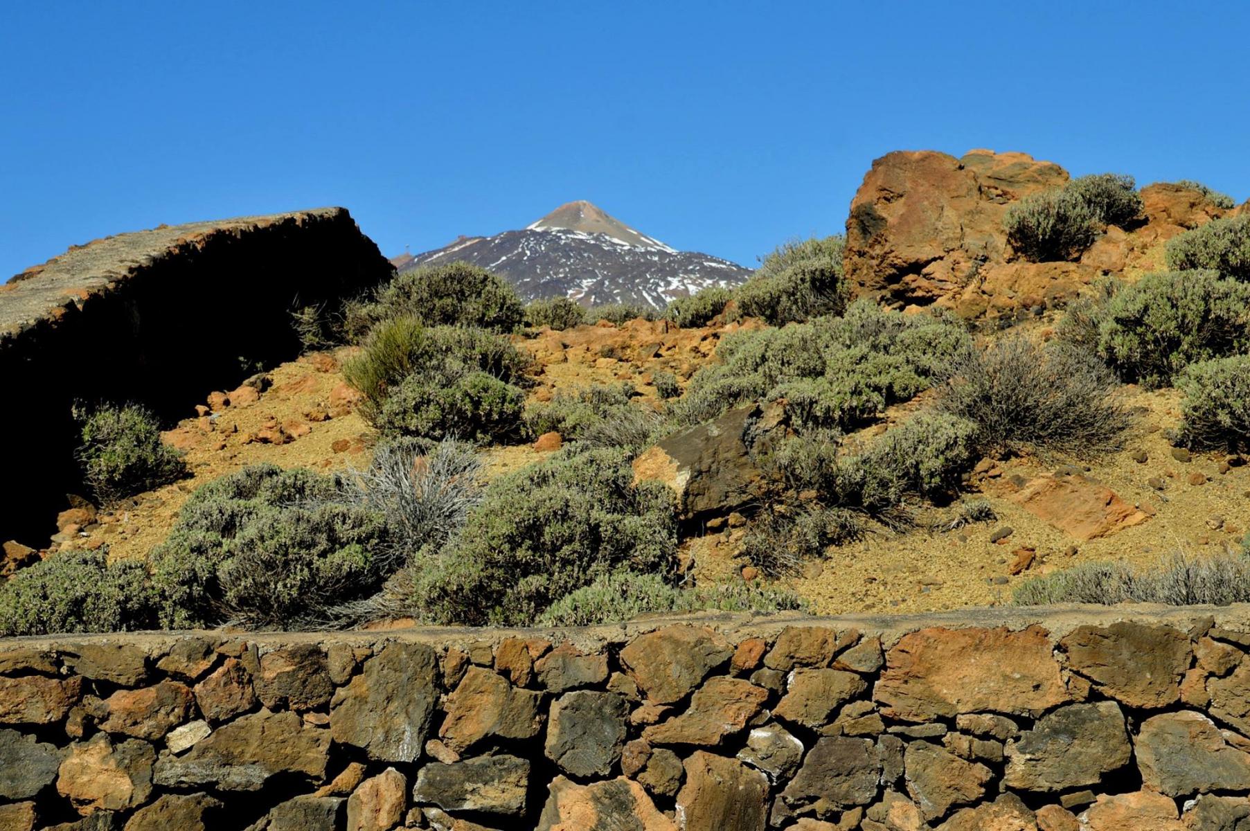 Parque National del Teide