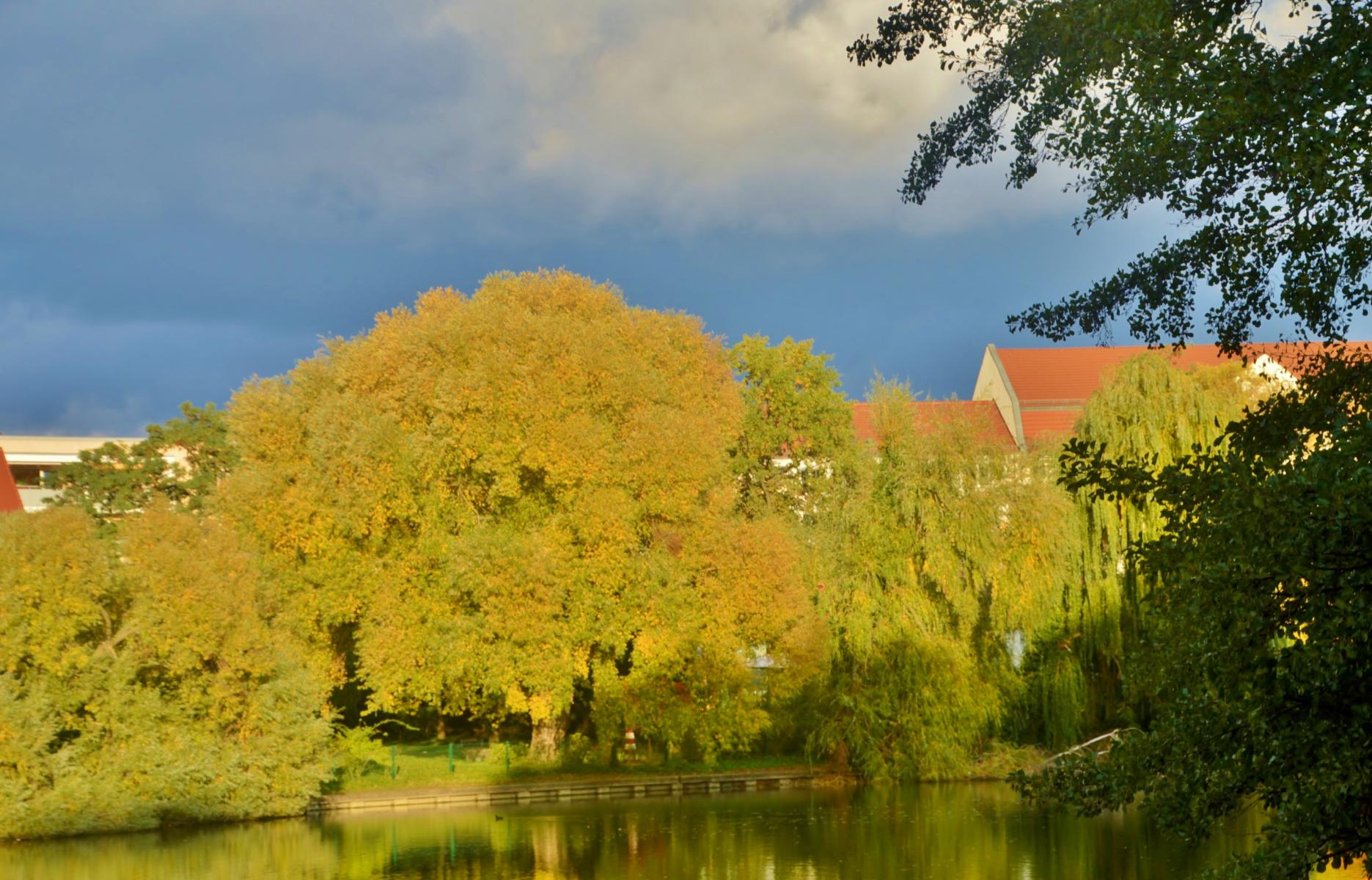 Obersee