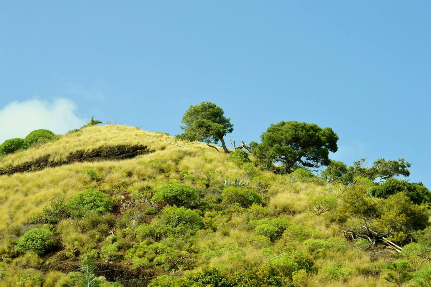 Jardin Botanico
