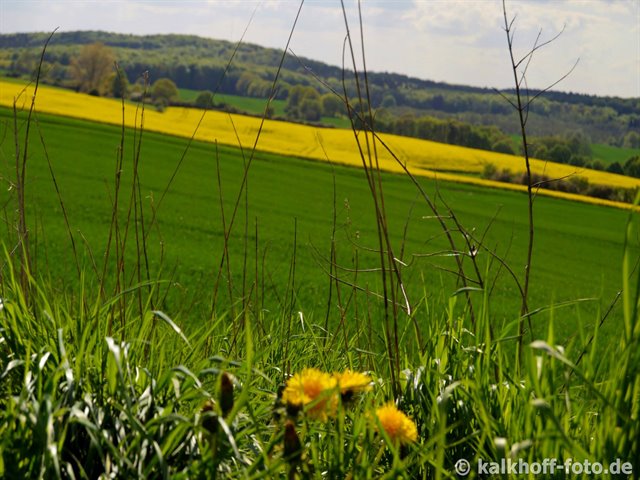 Blick vom Jarsenberg