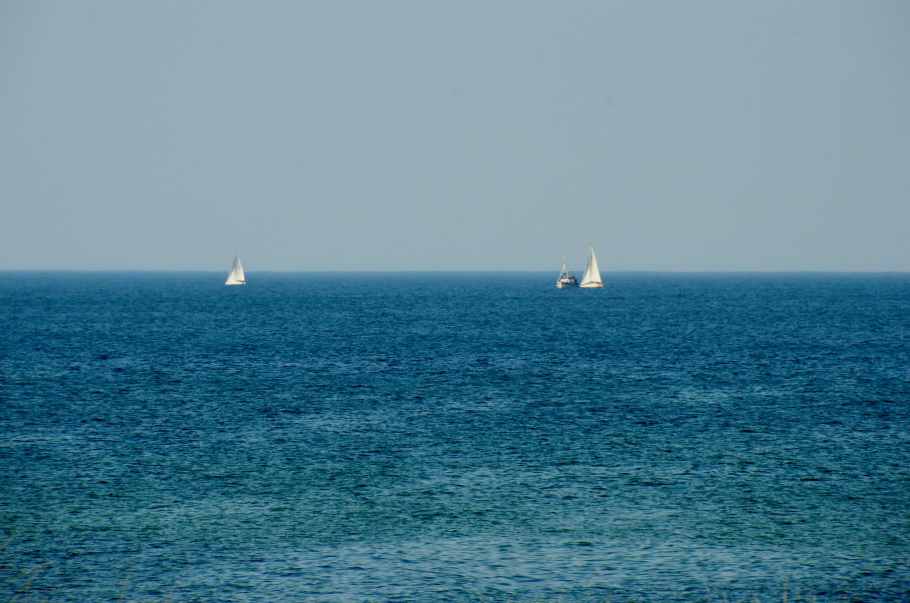 Segler auf der Ostsee