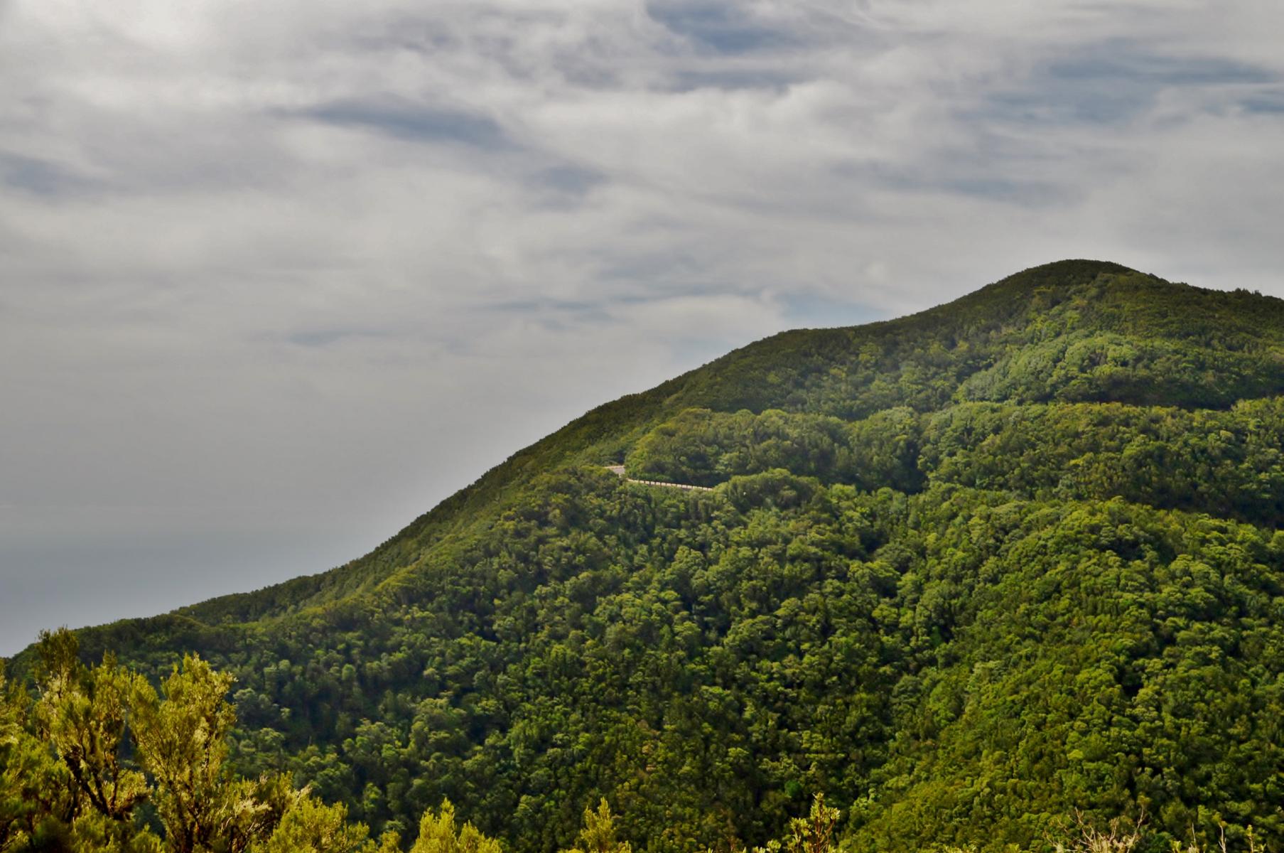 Anaga Gebirge