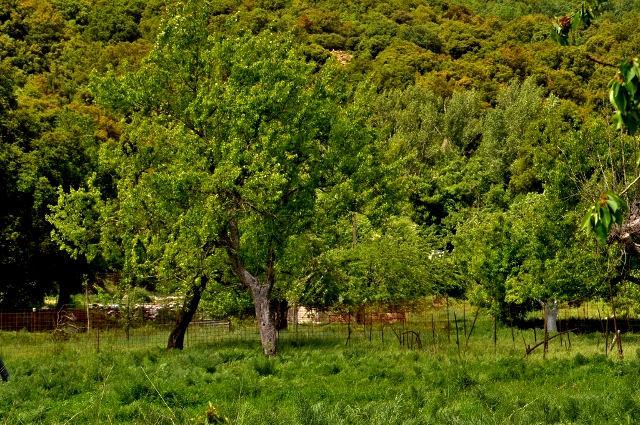 Lassithi HochebeneKreta