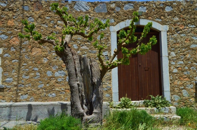 Lassithi HochebeneKreta