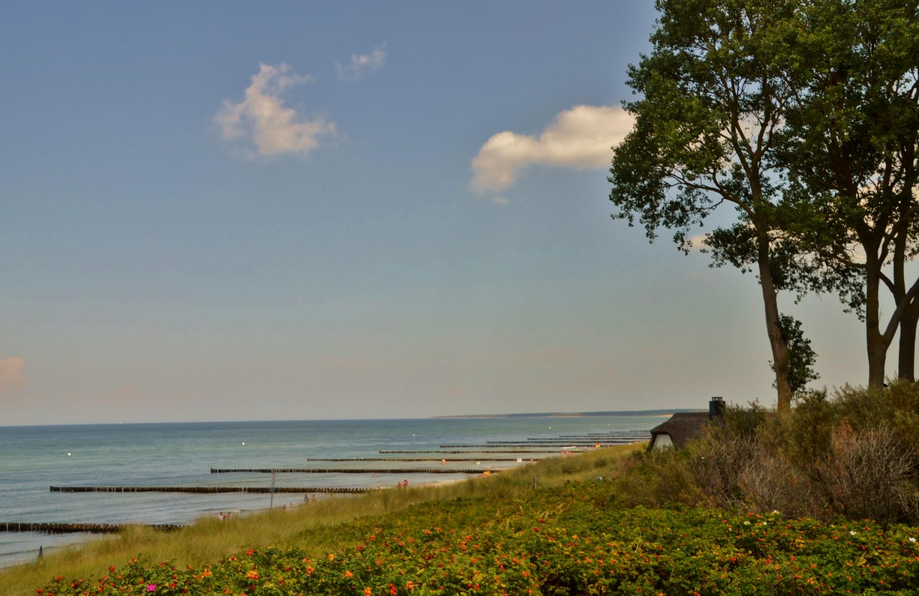 Ahrenshoop D&uuml;nen