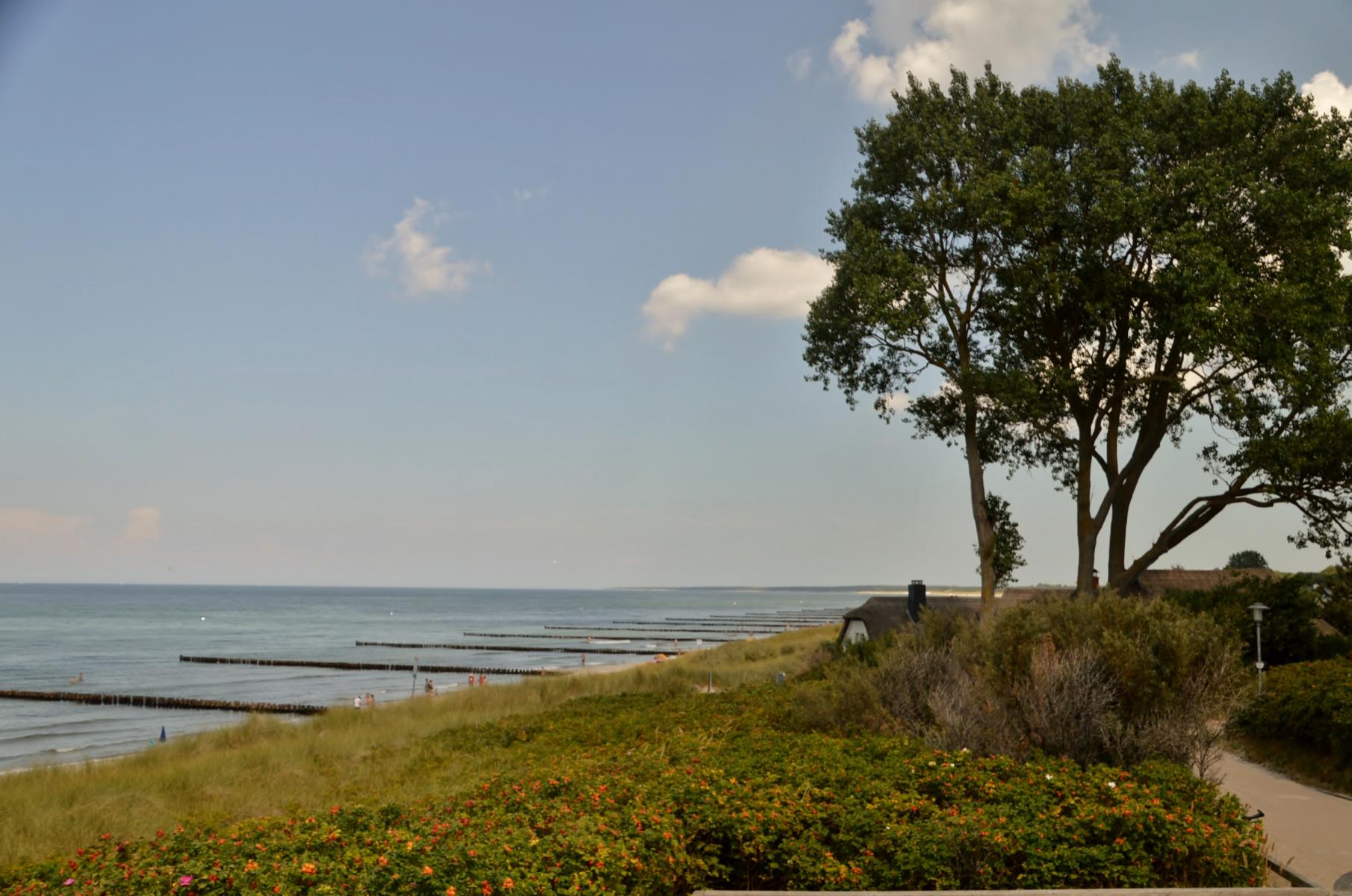 Ahrenshoop D&uuml;nen