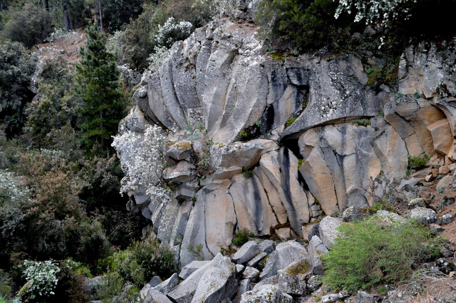 Parque National del Teide