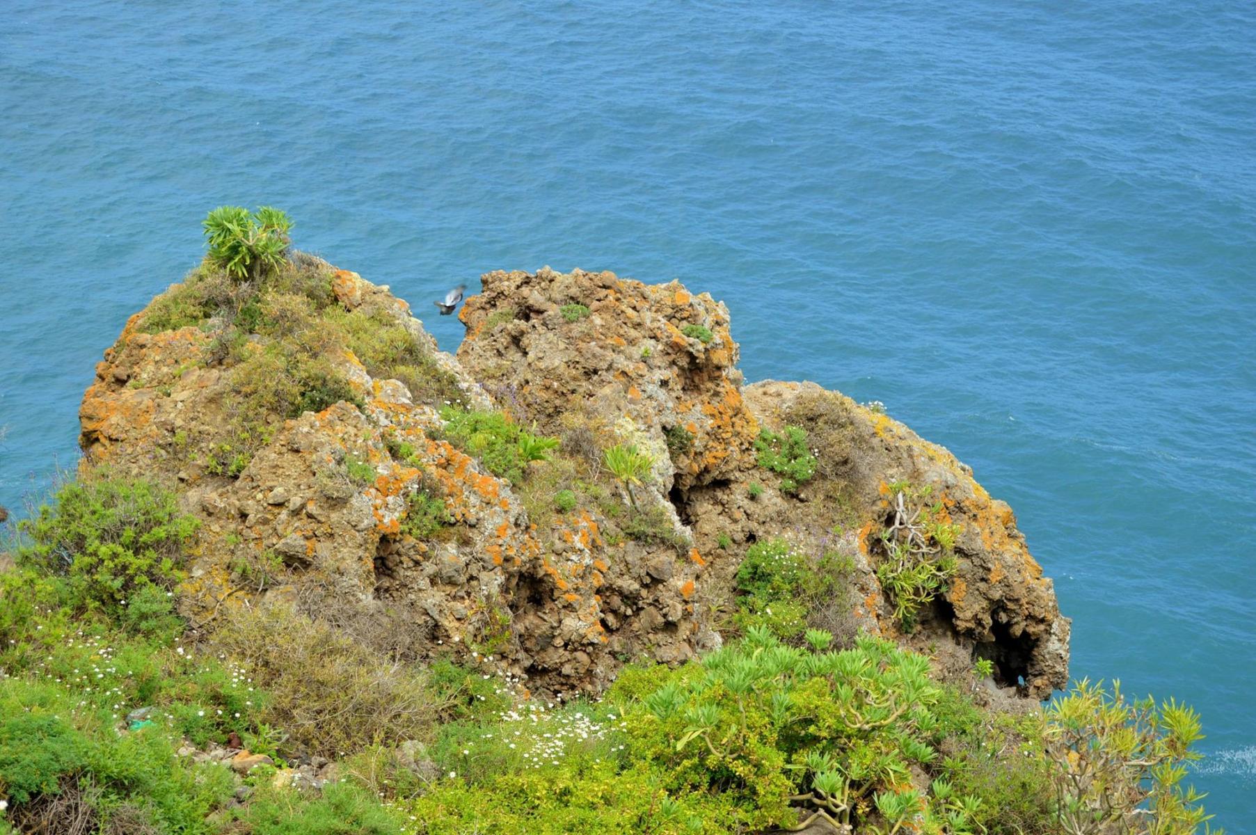 Landschaftsschutzgebiet Rambla de Castro