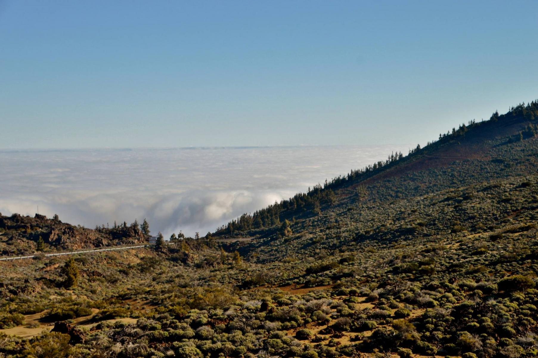 Parque National del Teide