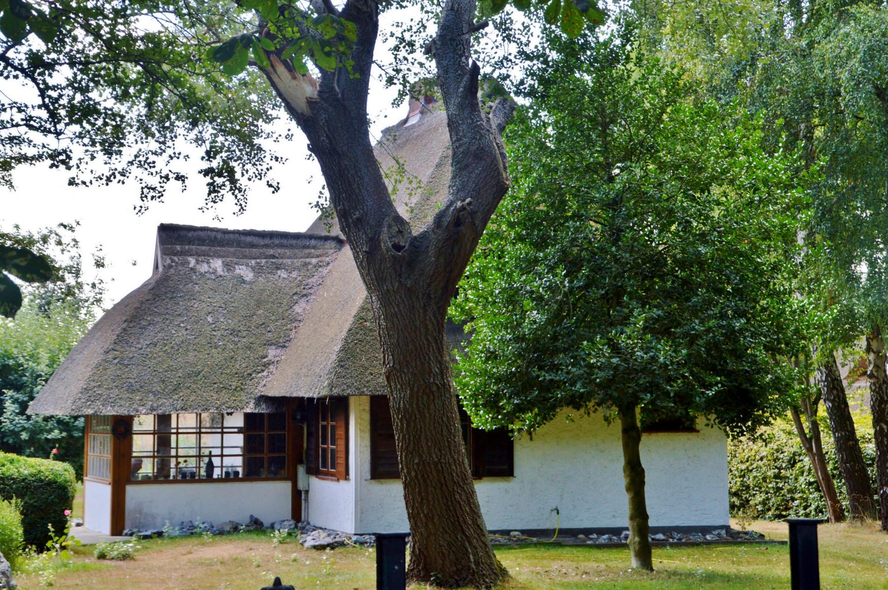 Ahrenshoop
