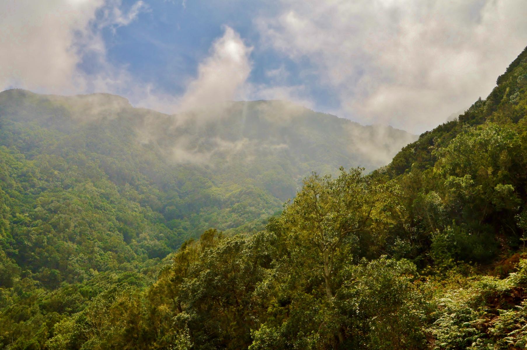 Anaga Gebirge