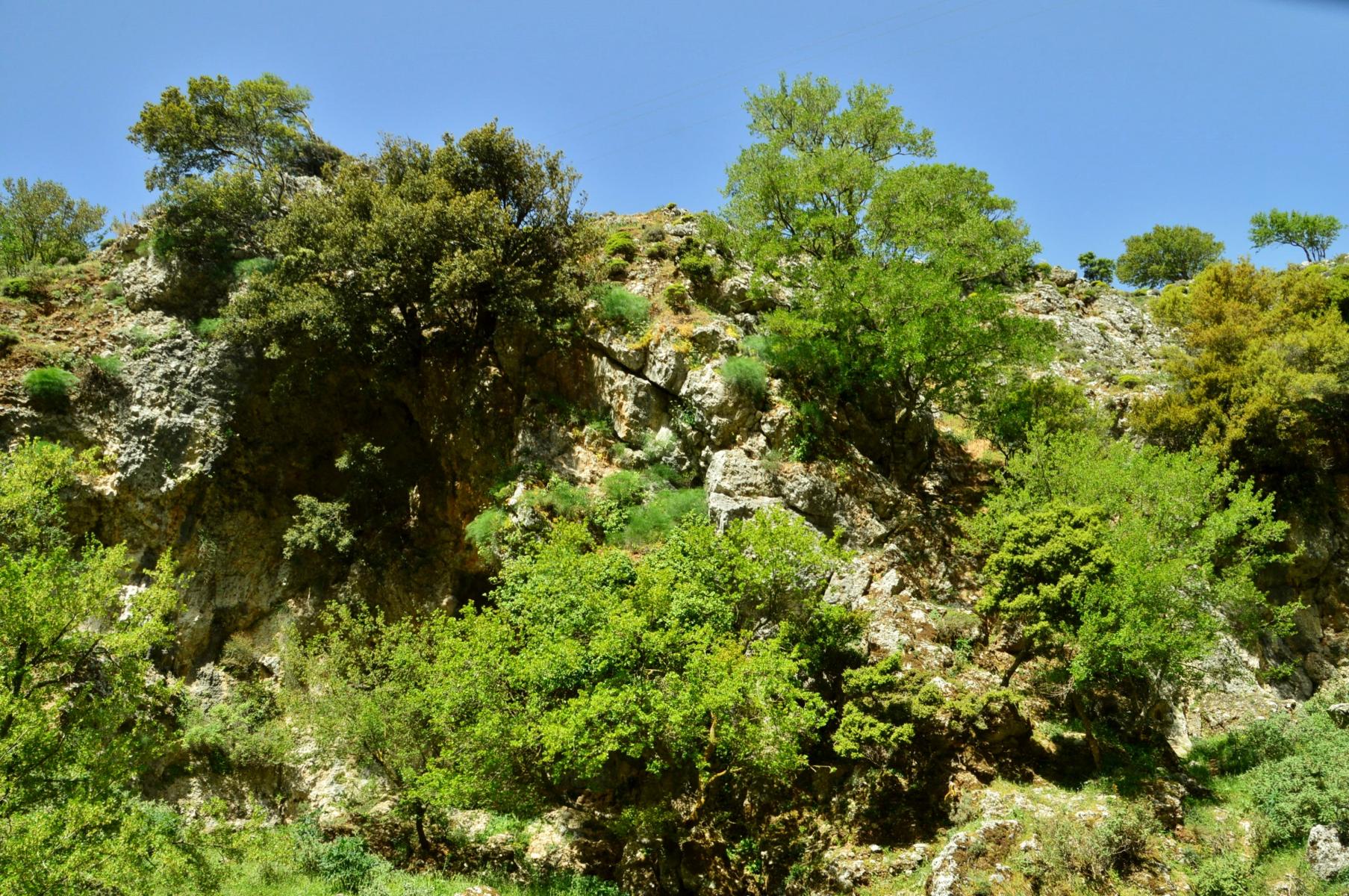 Imbros Schlucht
