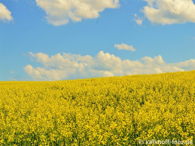 Sommerhitze