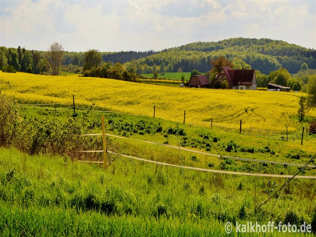 Blick vom Jarsenberg