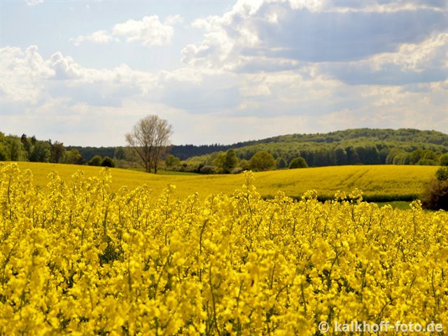Blick vom Jarsenberg