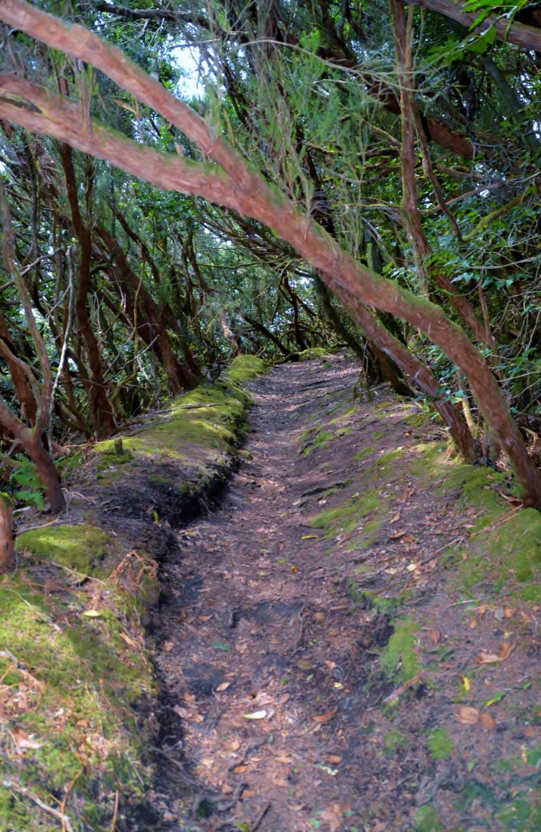 Anaga Gebirge