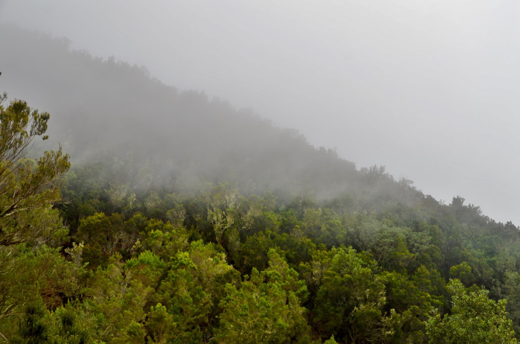 Anaga Gebirge