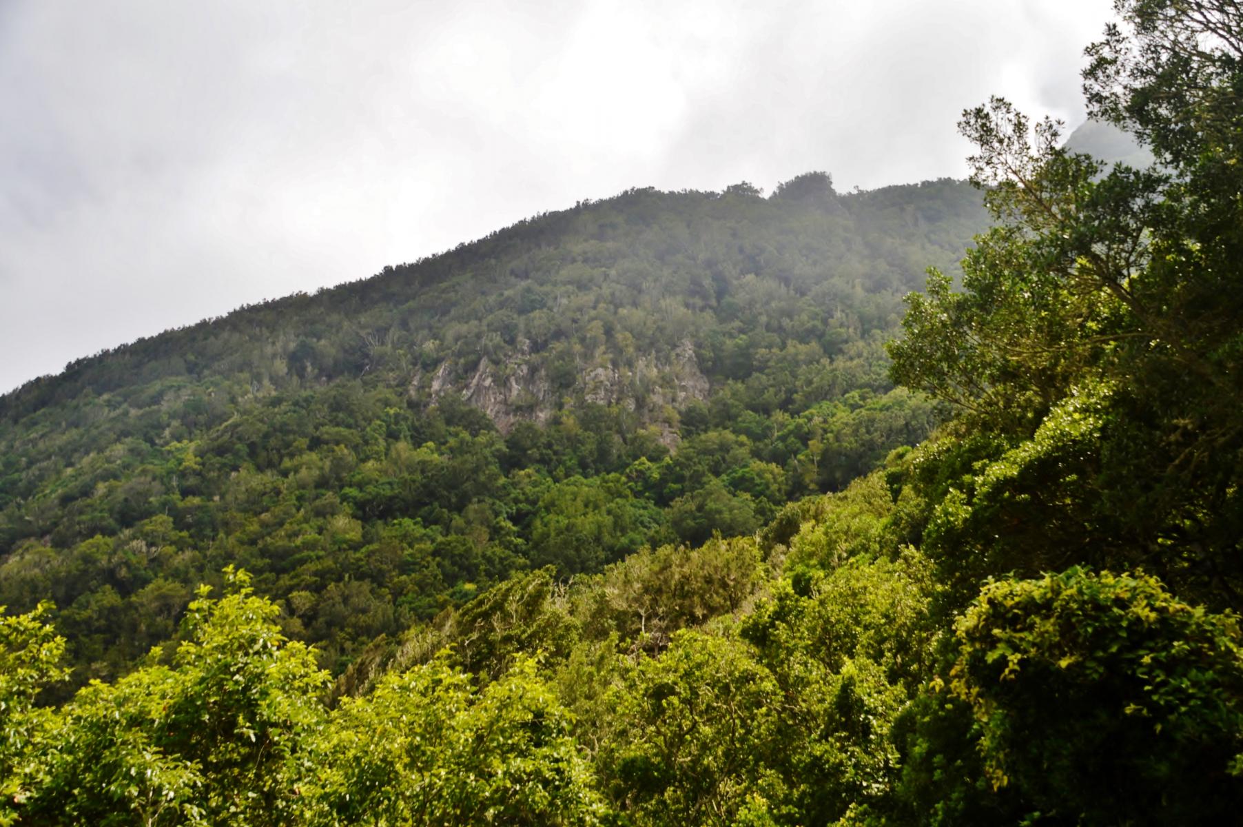 Anaga Gebirge