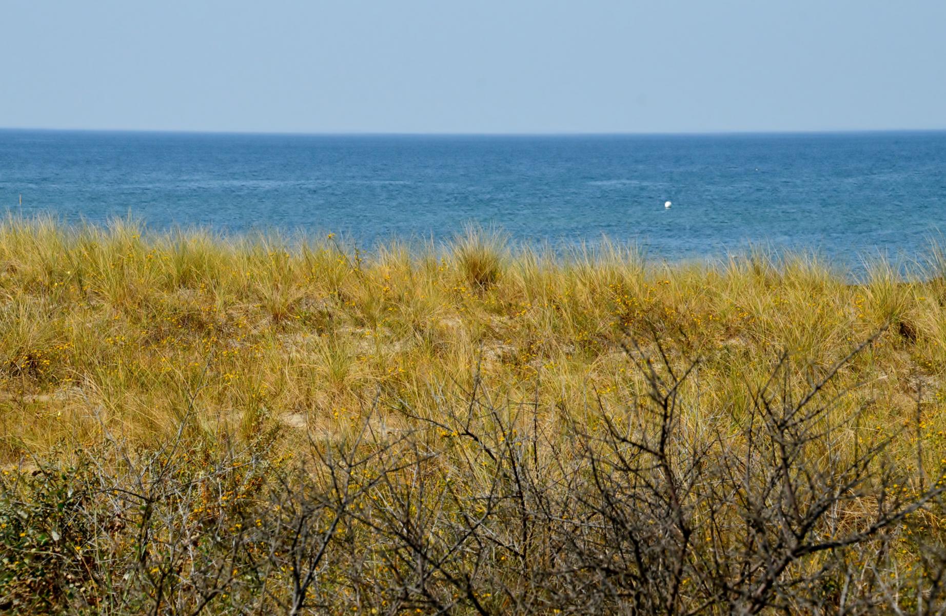 Ahrenshoop Strand