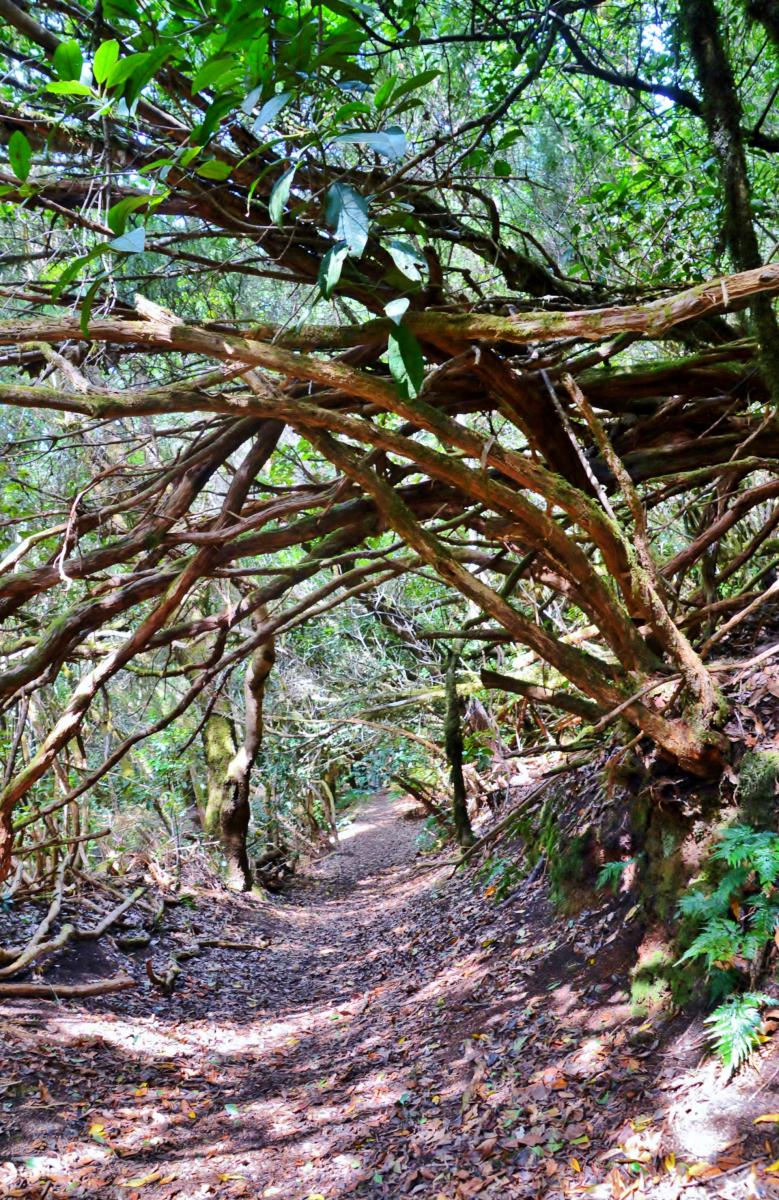 Anaga Gebirge
