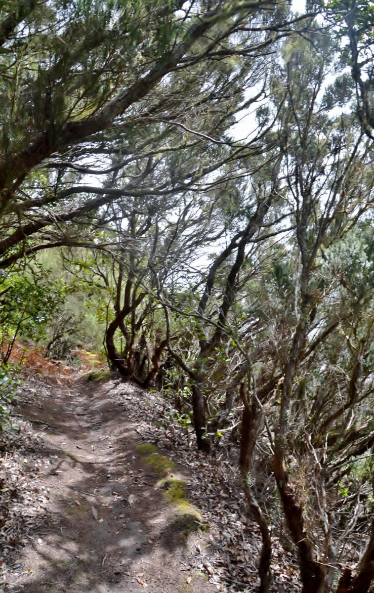 Anaga Gebirge