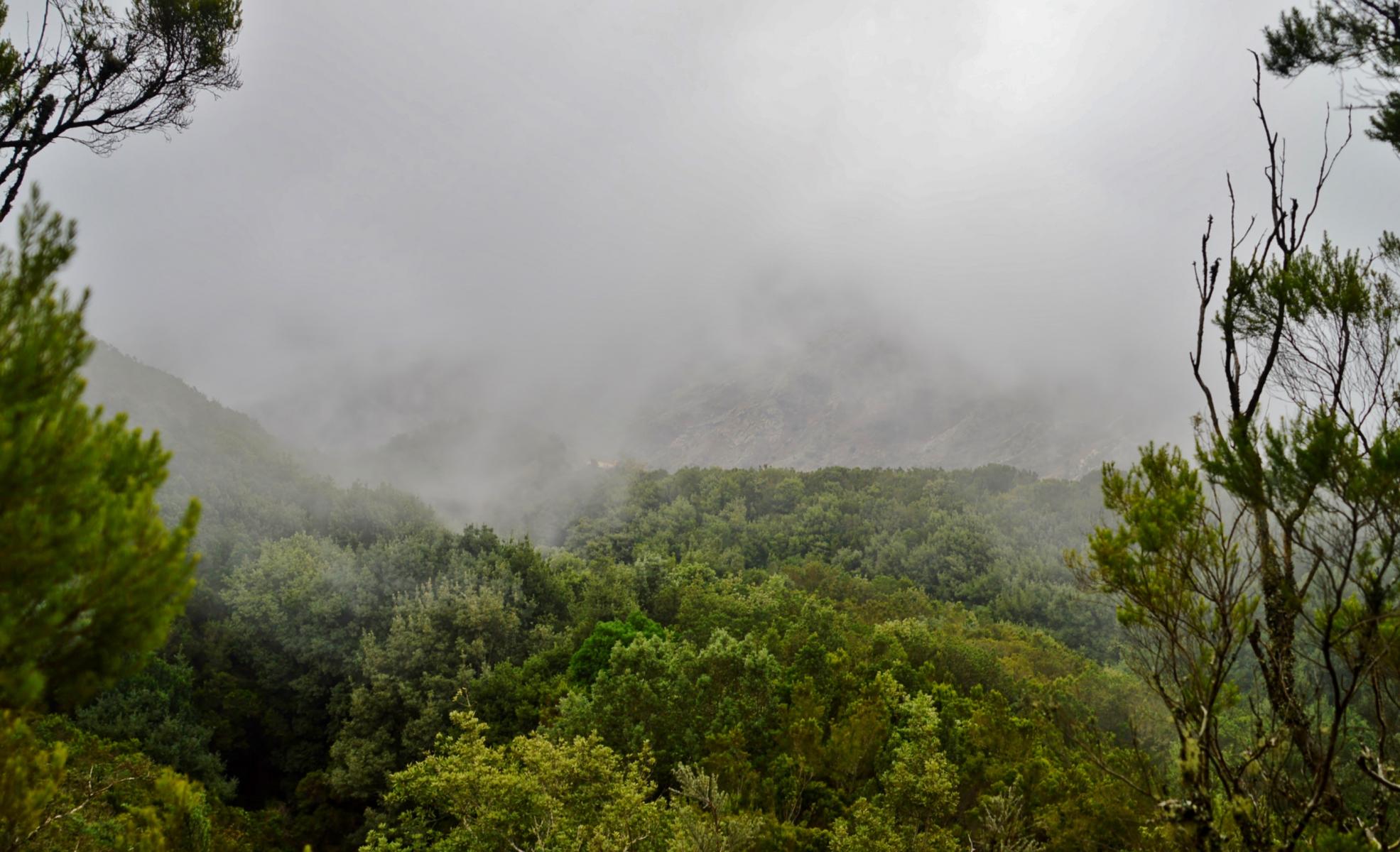 Anaga Gebirge