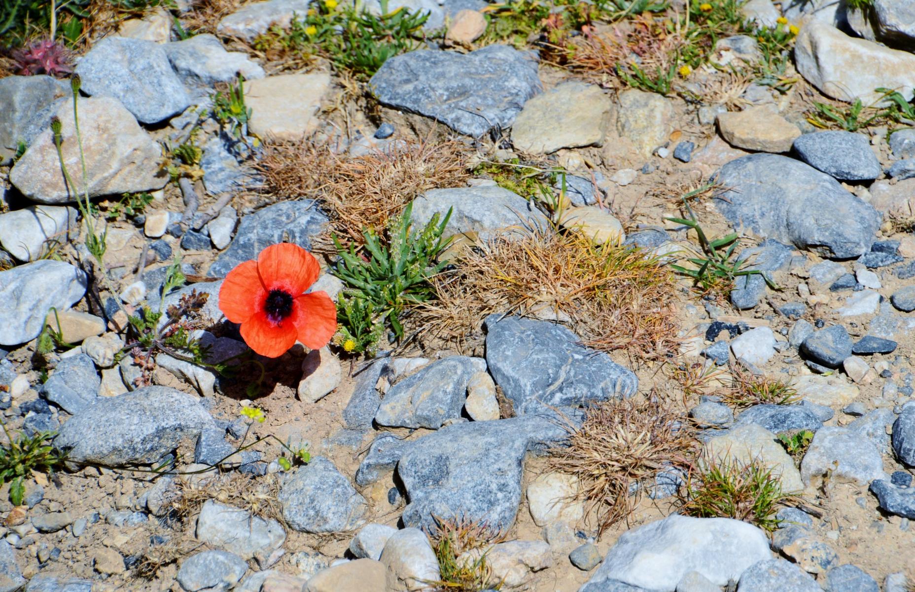 Imbros Schlucht