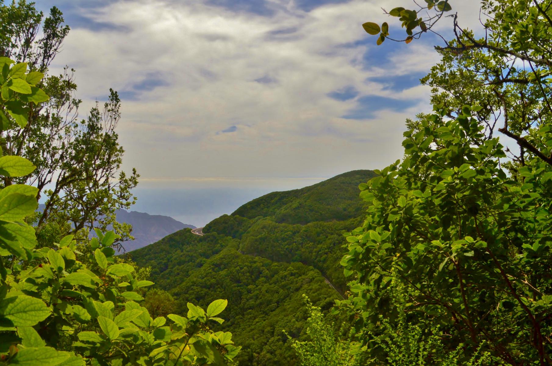 Anaga Gebirge