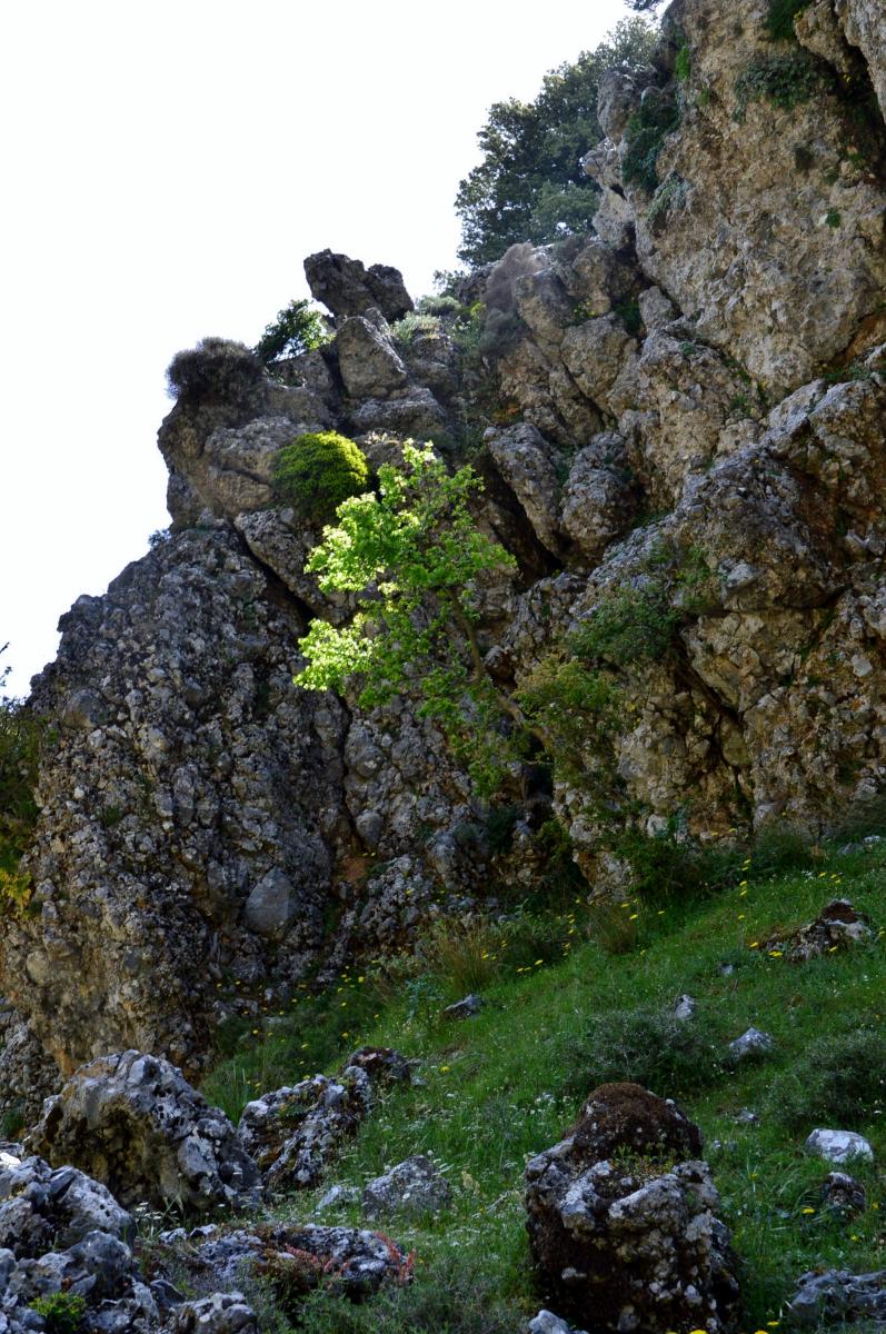 Imbros Schlucht