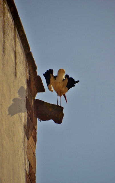Silves