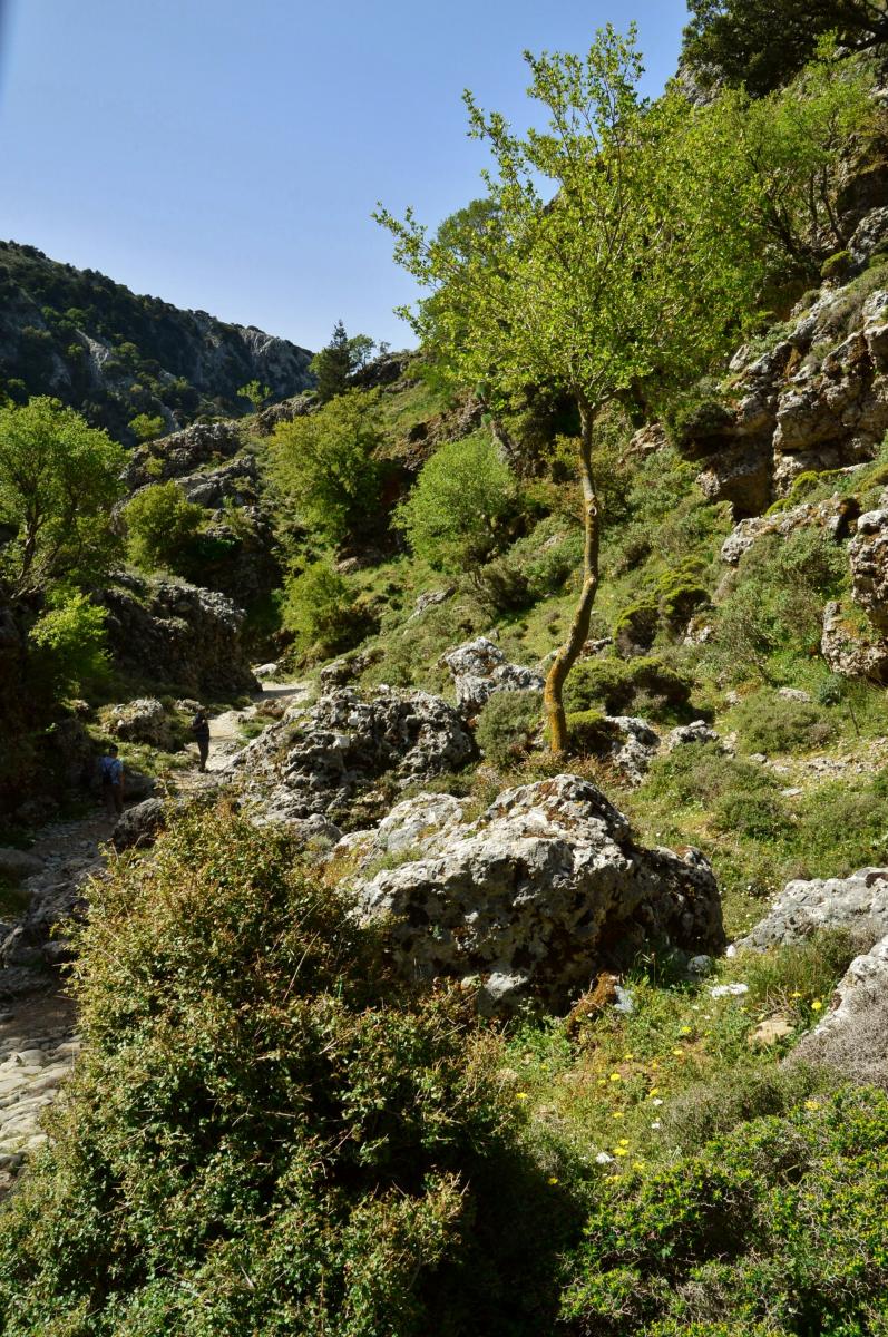 Imbros Schlucht