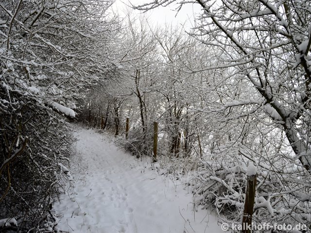 Aufstieg zum Jasenberg