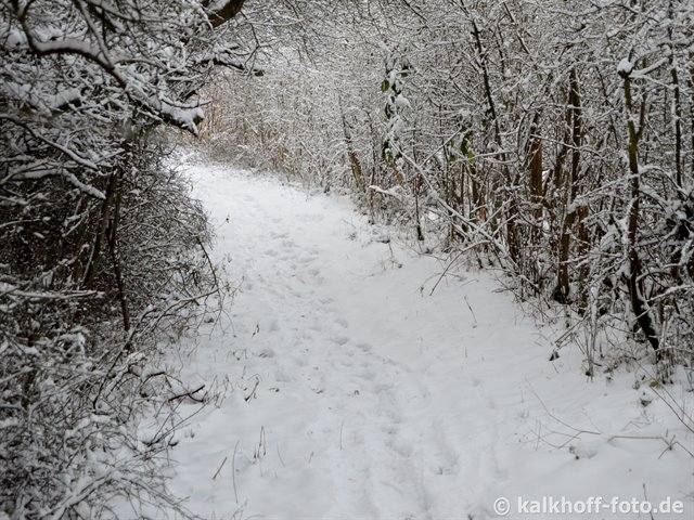 Aufstieg zum Jasenberg