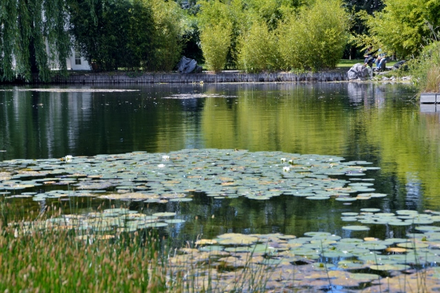 Chinesischer Garten