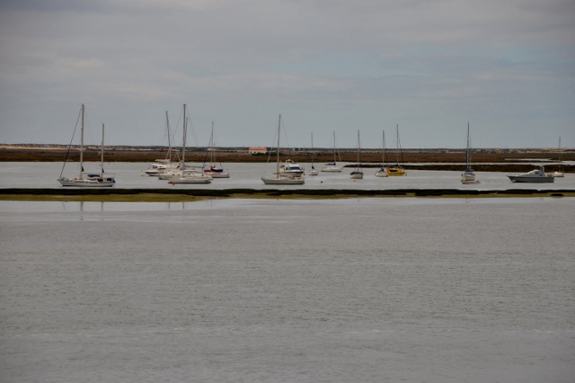 Lagunenlandschaft-Ria Formosa