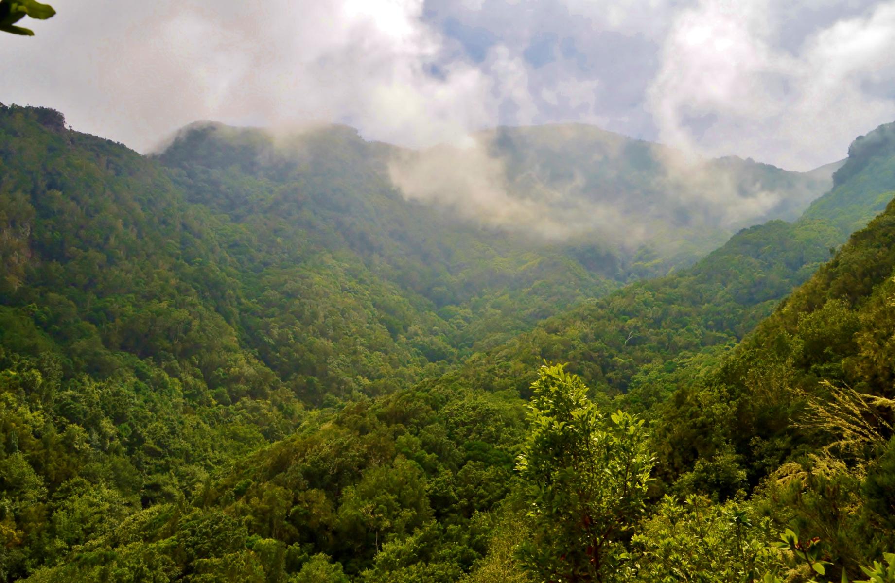 Anaga Gebirge