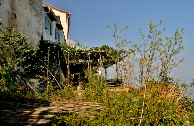 Mošćenička Draga
