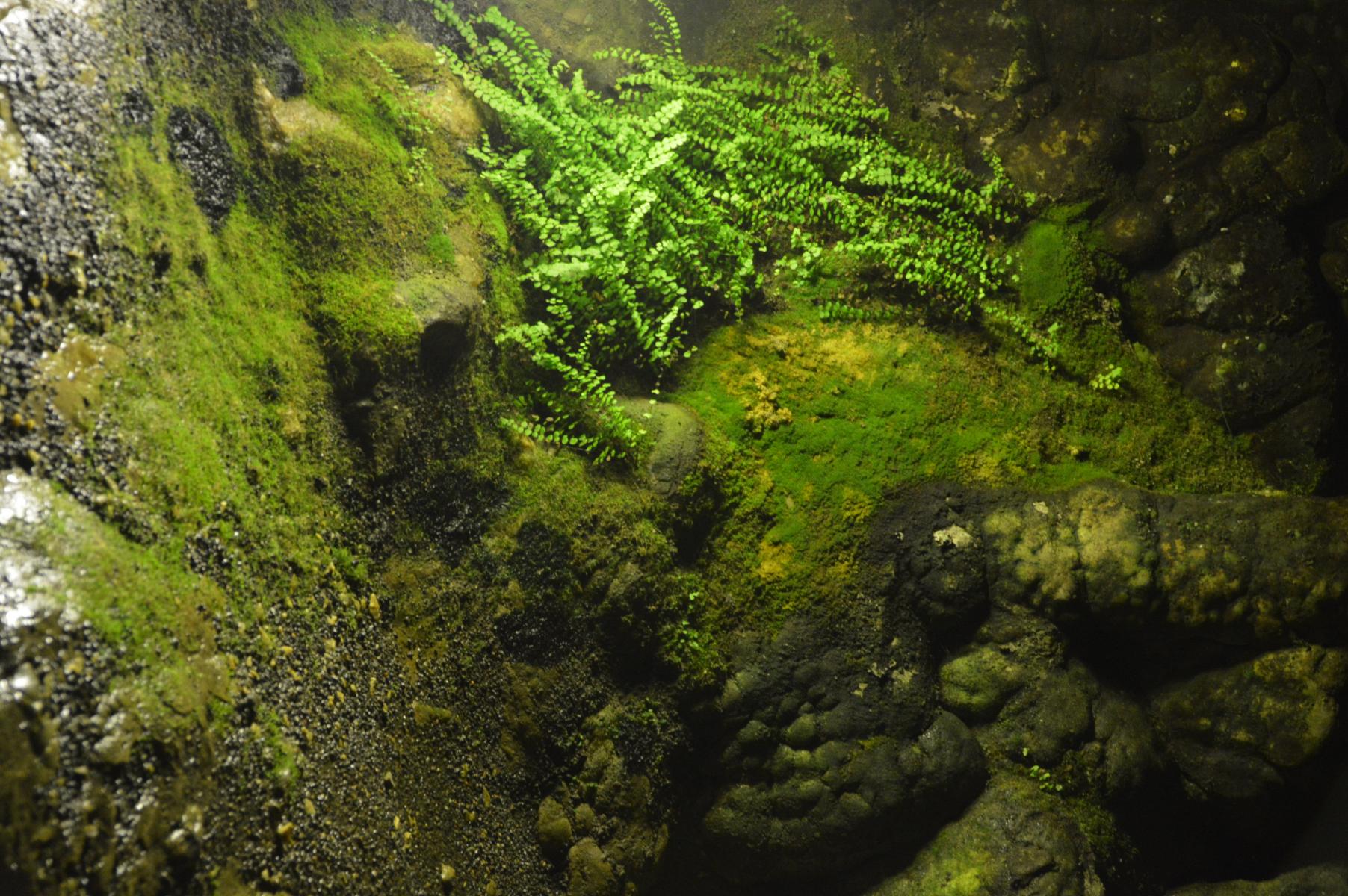 H&ouml;hle von Psichro