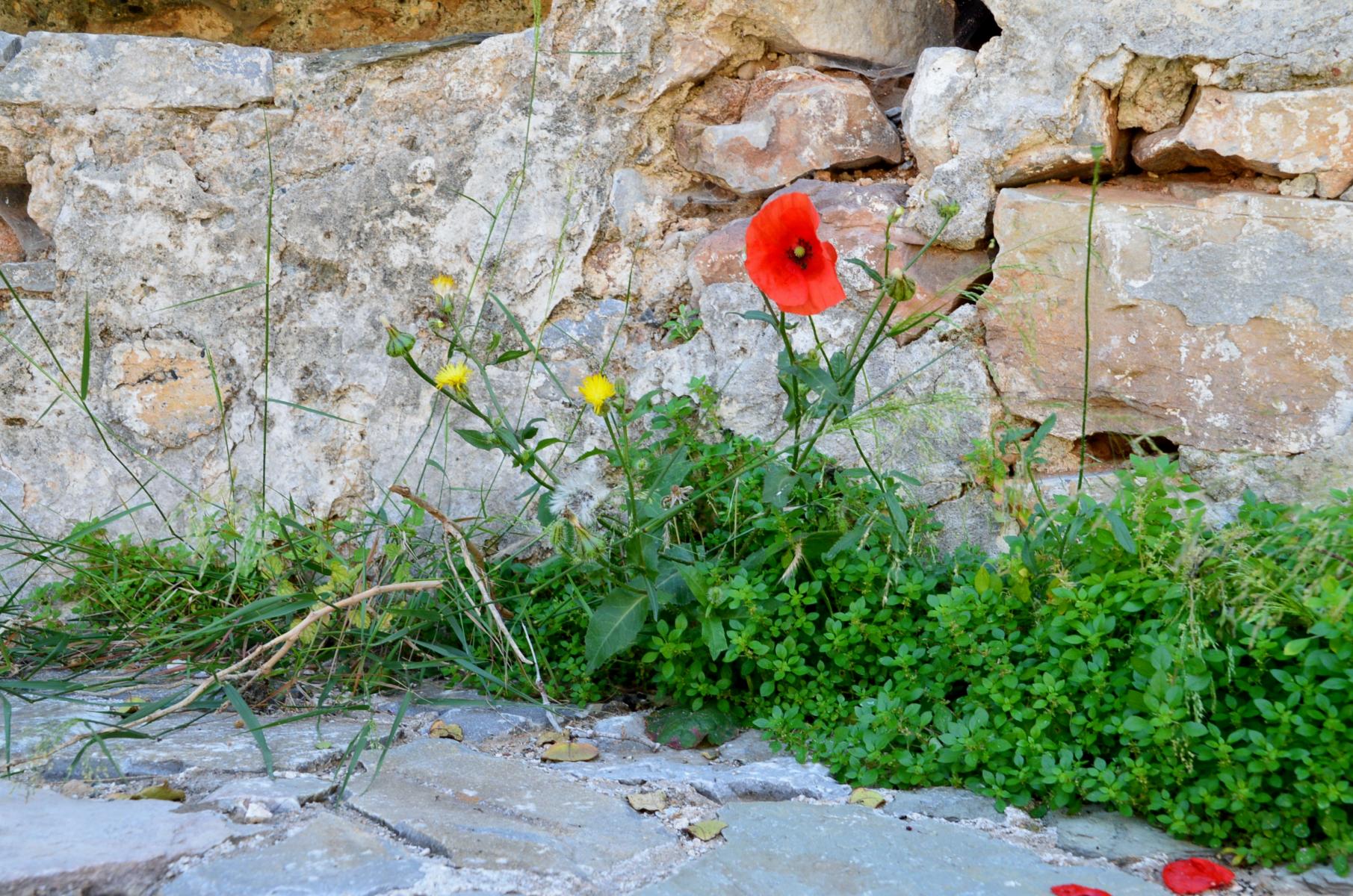 Spinalonga