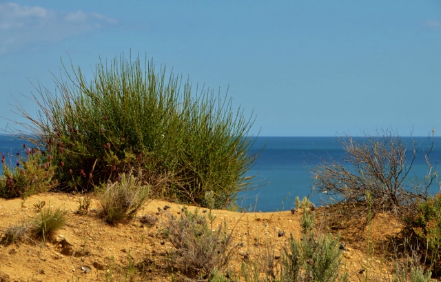Steilk&uuml;ste  Olhos de Agua