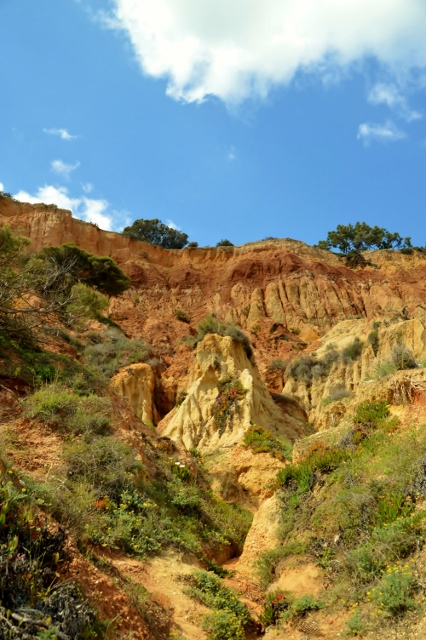 Steilk&uuml;ste  Olhos de Agua