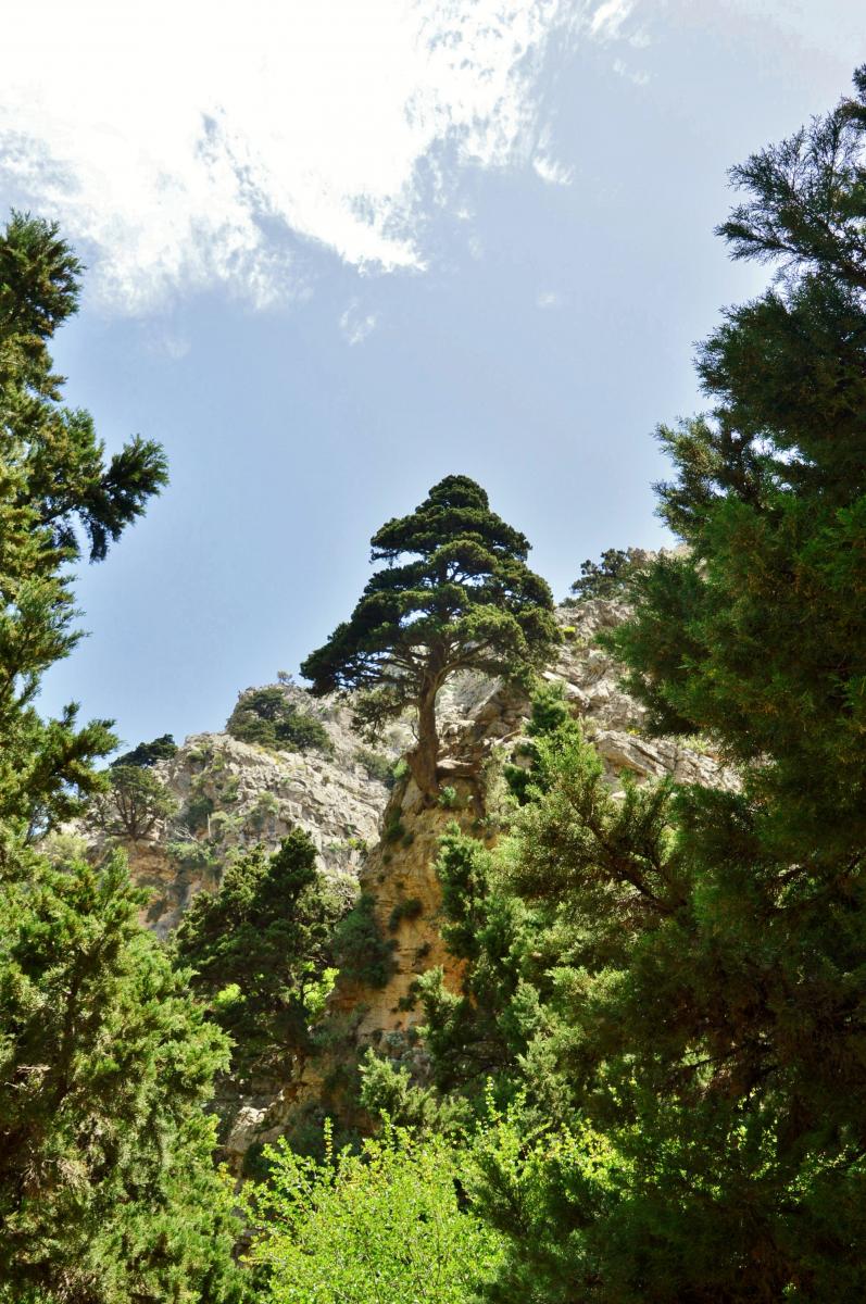 Imbros Schlucht