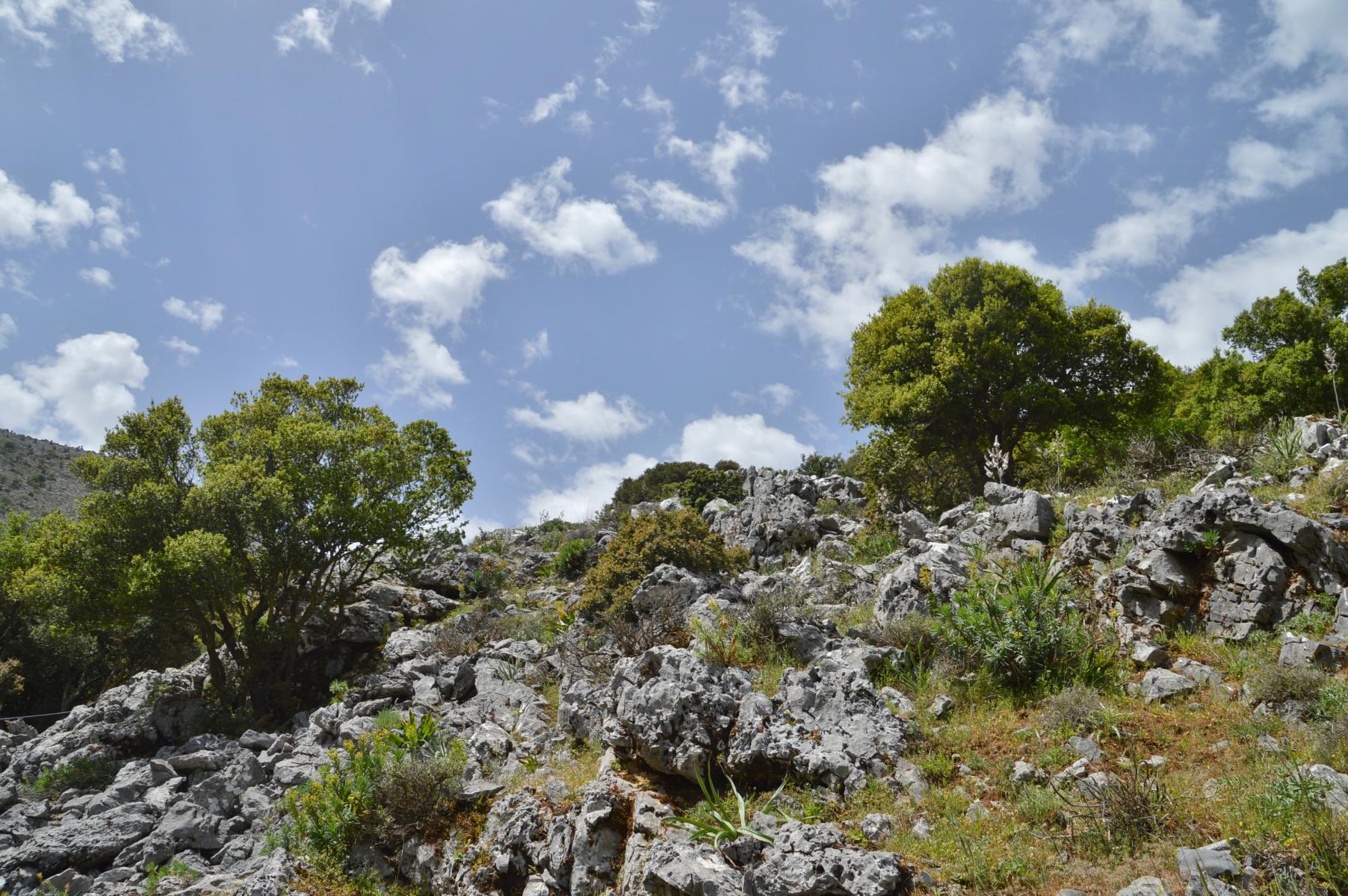 Lassithi Hochebene