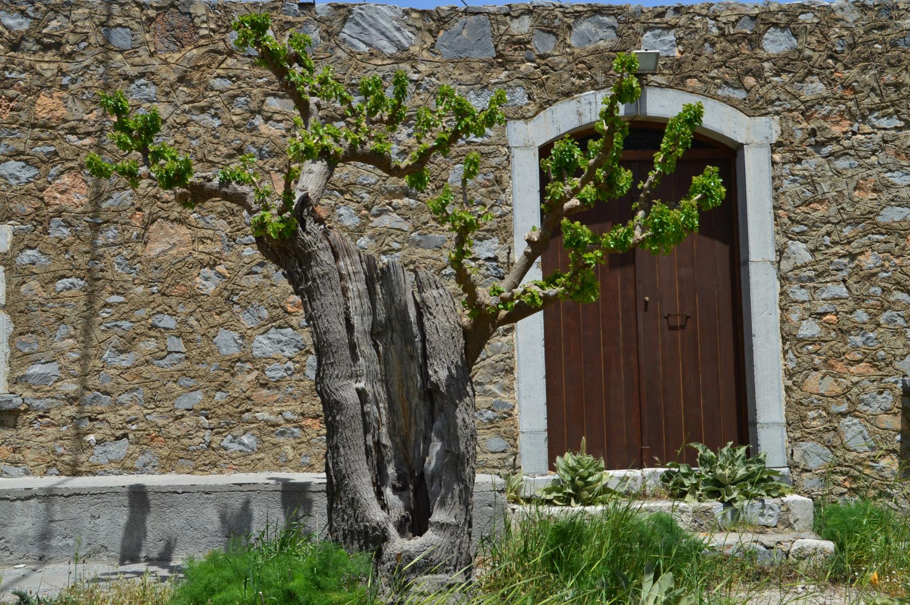 Lassithi Hochebene
