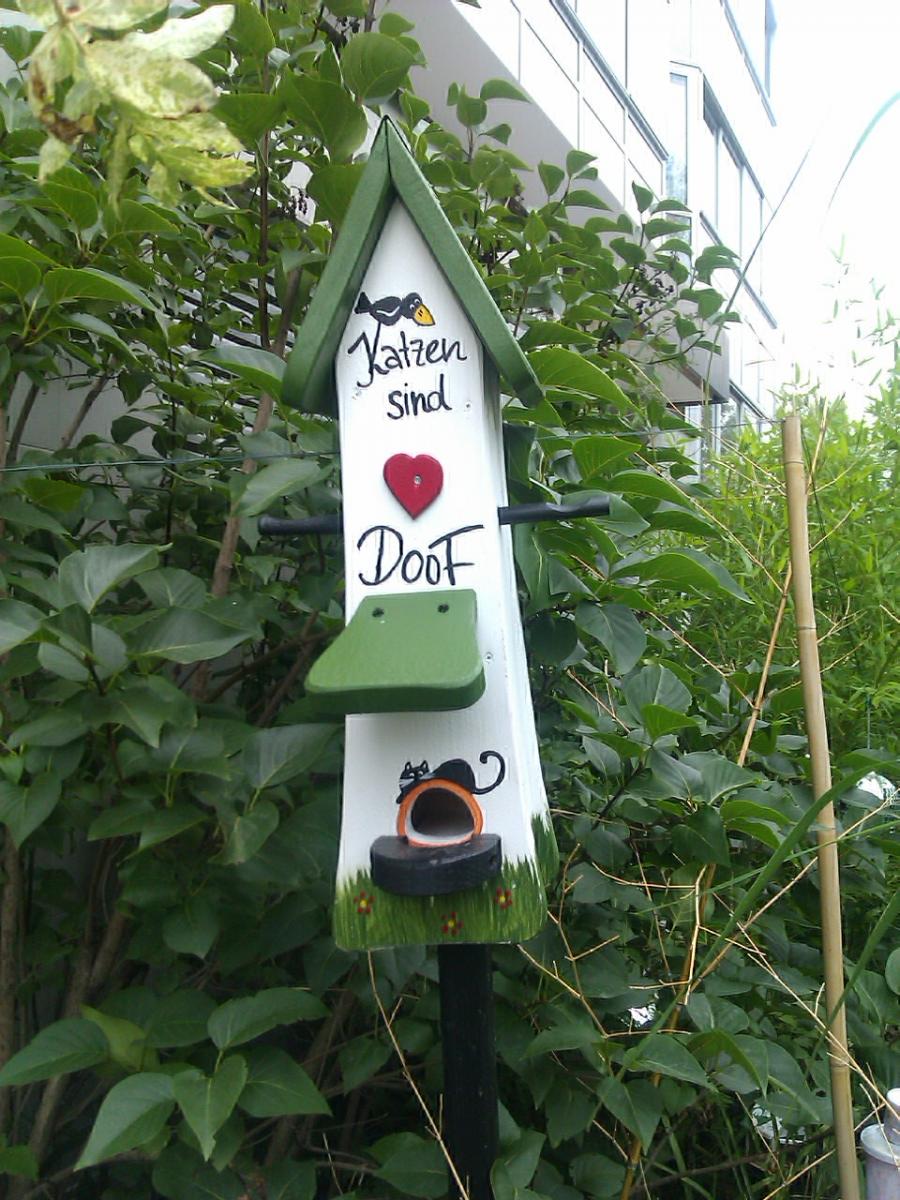 nicht nur Katzen